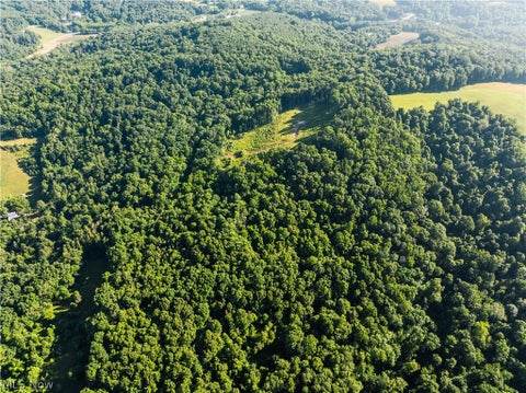 Vacant Land For Sale - 7413 Township Road 129<br/> Millersburg, OH 44654
