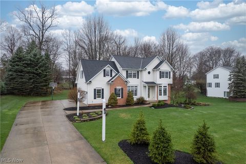 Homes For Sale - 5690 Canyon View Drive<br/> Lake County, Perry, OH 44077