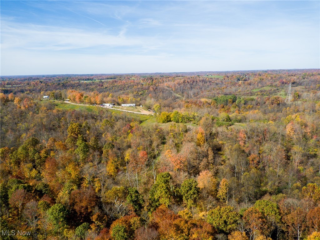 3245 Dixon Ridge Road, Lowell, Ohio image 39