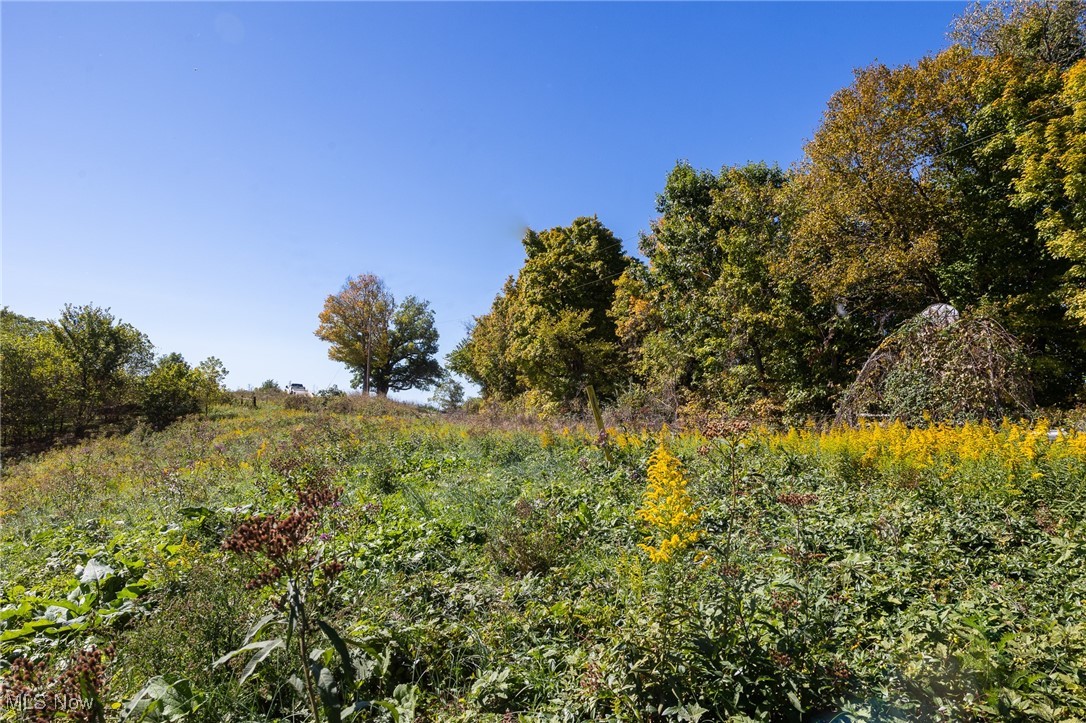 3245 Dixon Ridge Road, Lowell, Ohio image 34