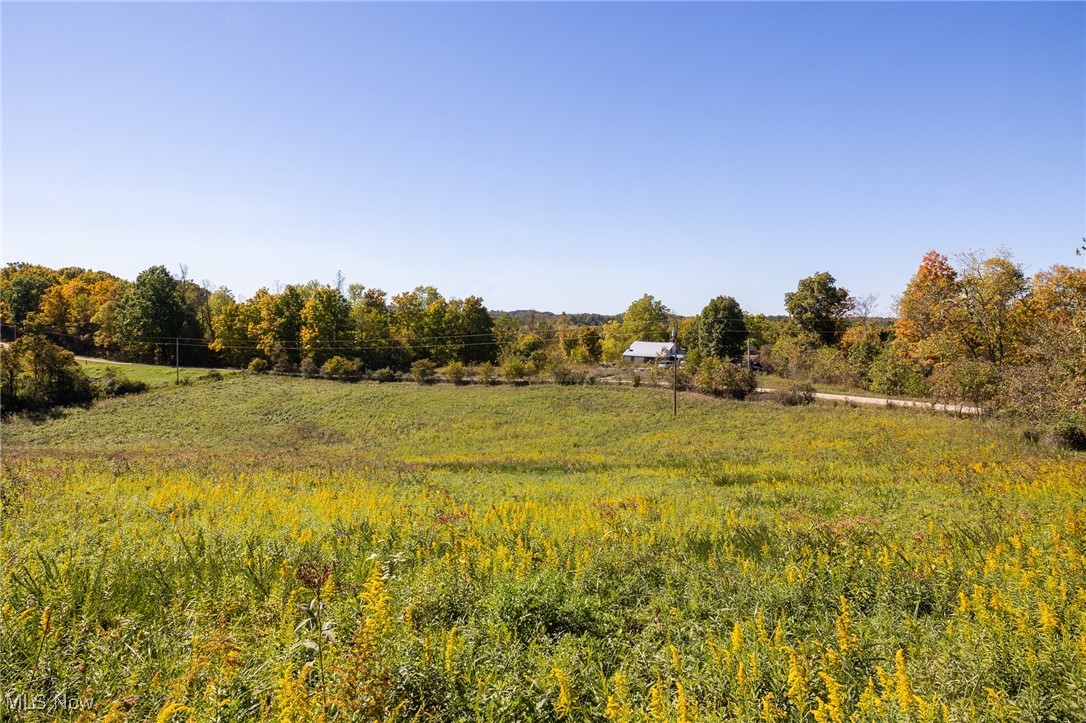 3245 Dixon Ridge Road, Lowell, Ohio image 36