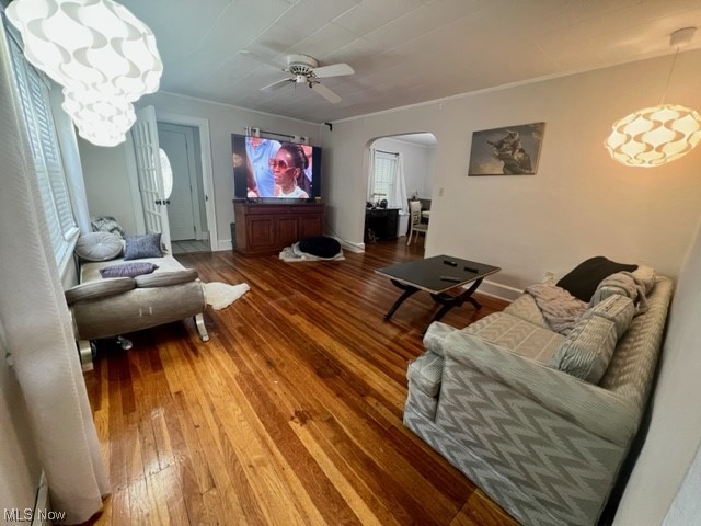 Firestone Park - Residential