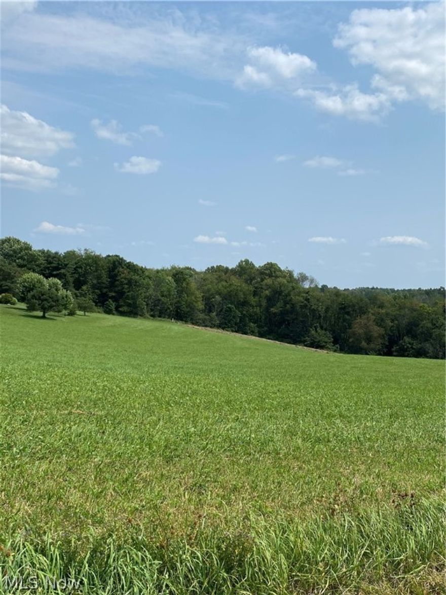 Beautiful 5 acre lot in Minerva School District to build your dream home!