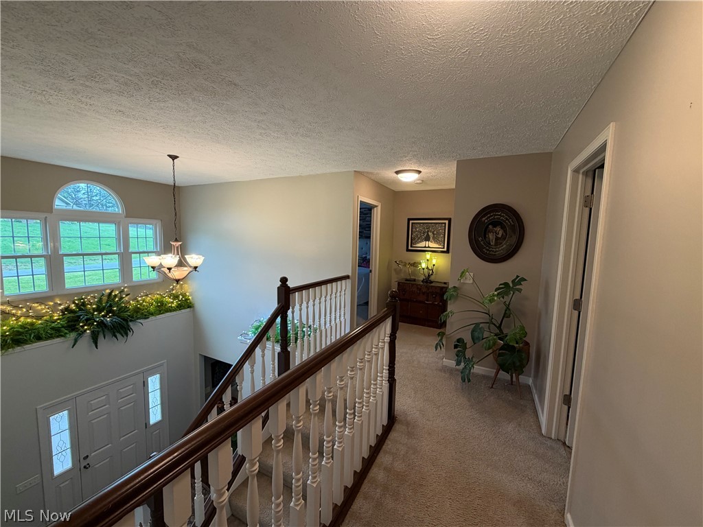 Hoffman - Residential