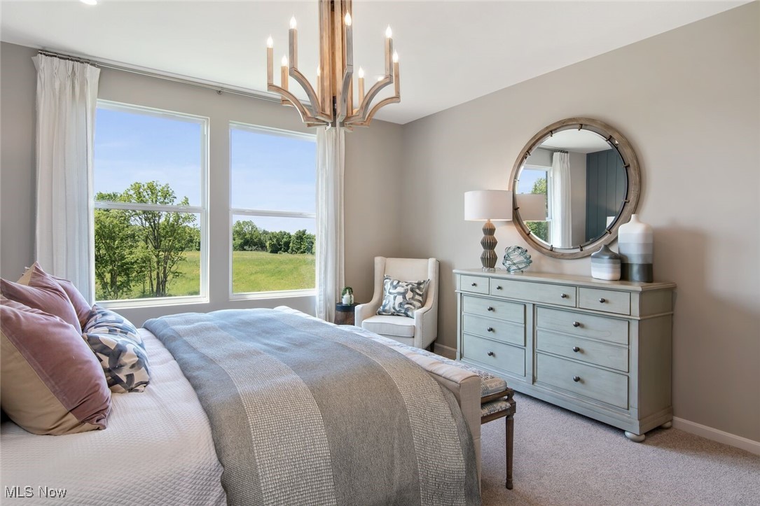 The Estates of Columbia Ridge - Residential