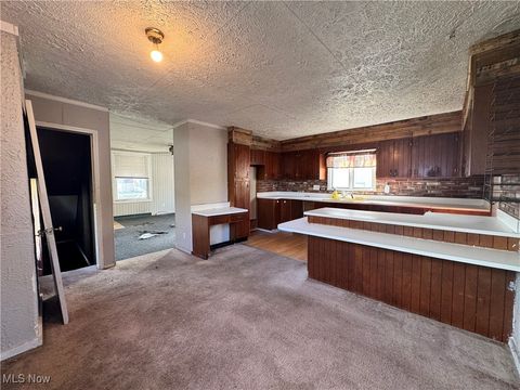 Tiny photo for 382 E Martin Street, East Palestine, OH 44413 (MLS # 5167862)