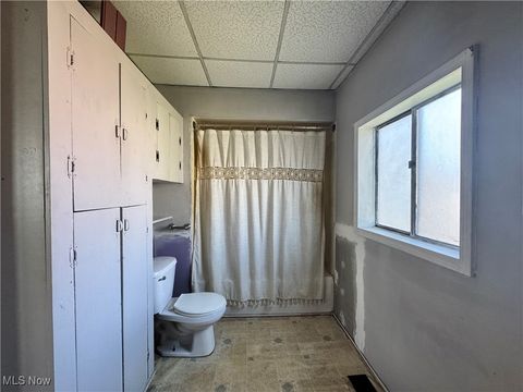 Tiny photo for 382 E Martin Street, East Palestine, OH 44413 (MLS # 5167862)