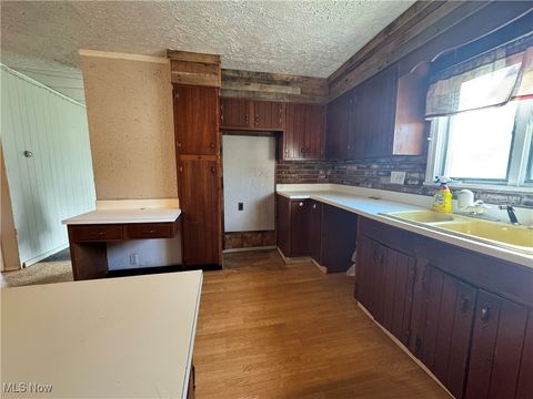 Tiny photo for 382 E Martin Street, East Palestine, OH 44413 (MLS # 5167862)