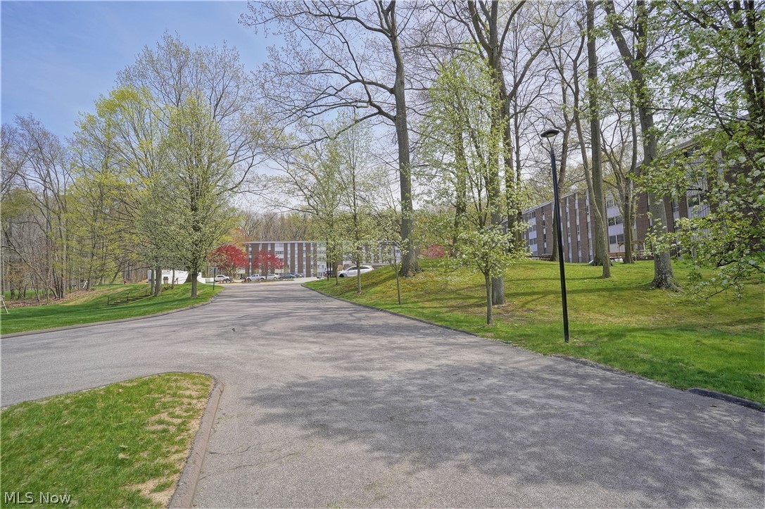 Silver Lake Towers Condo - Residential