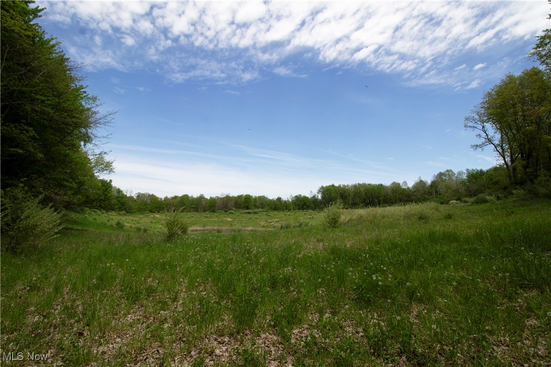 State Route 303, Mantua, Ohio image 9