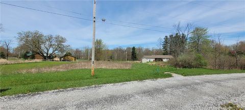 Vacant Land For Sale - 3201 Manzanita Drive<br/> Ashland County, West Salem, OH 44287