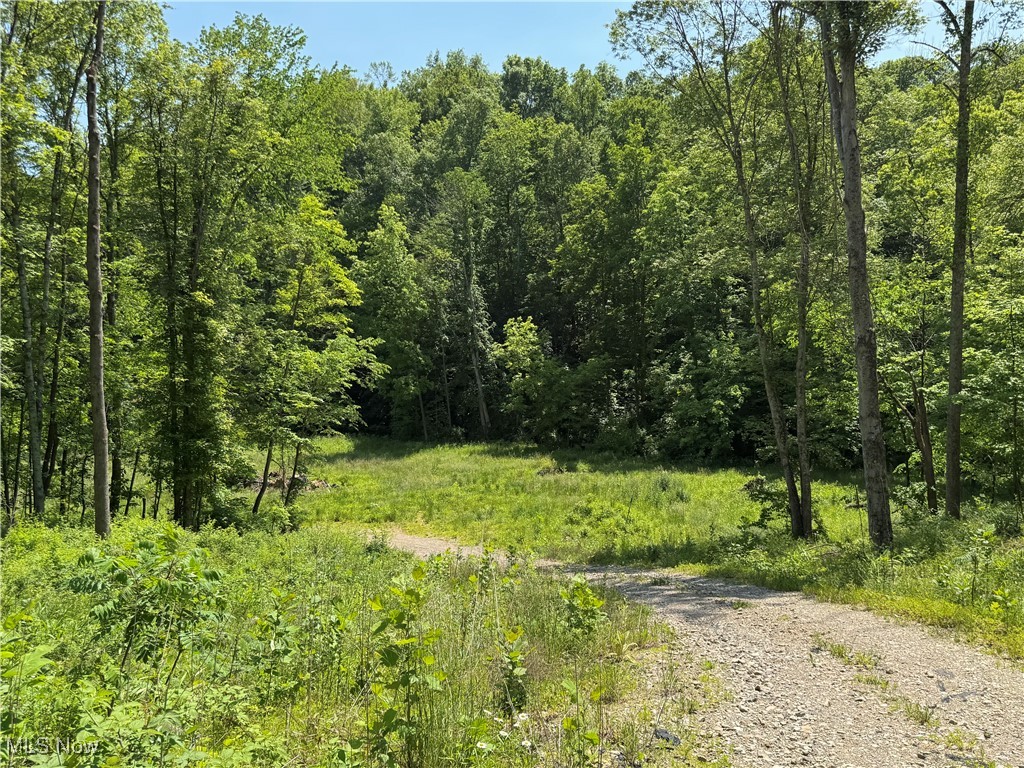 9811 Green Valley Road, Chandlersville, Ohio image 11