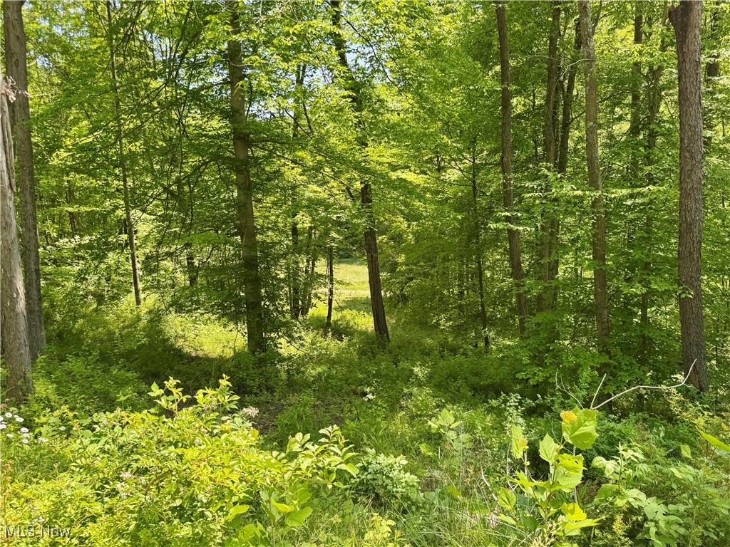 9811 Green Valley Road, Chandlersville, Ohio image 12