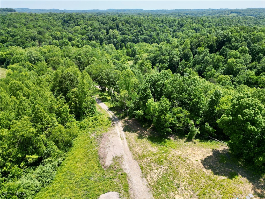 9811 Green Valley Road, Chandlersville, Ohio image 31