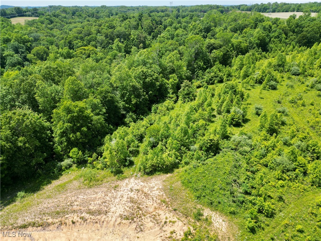 9811 Green Valley Road, Chandlersville, Ohio image 37