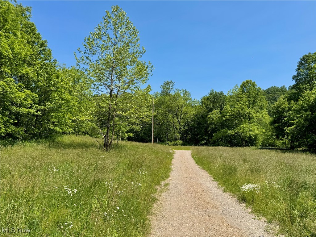 9811 Green Valley Road, Chandlersville, Ohio image 1