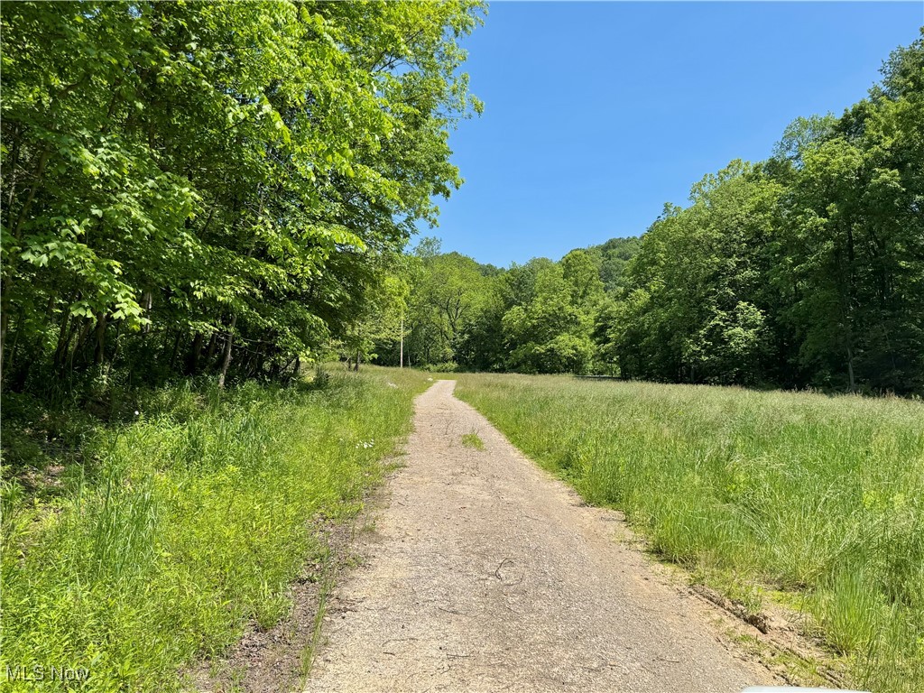 9811 Green Valley Road, Chandlersville, Ohio image 10