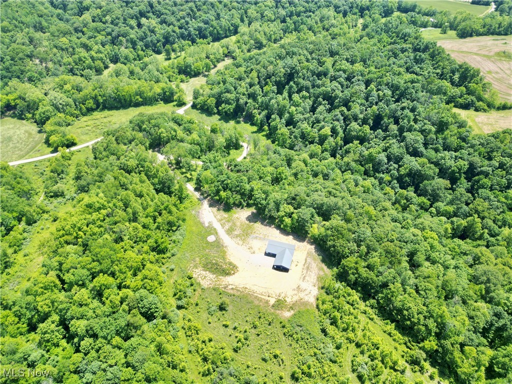 9811 Green Valley Road, Chandlersville, Ohio image 24