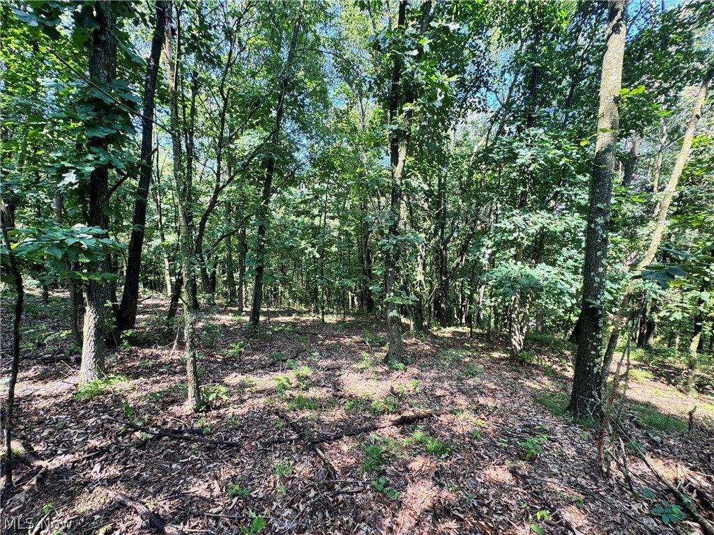 47308 Chippewa Trail