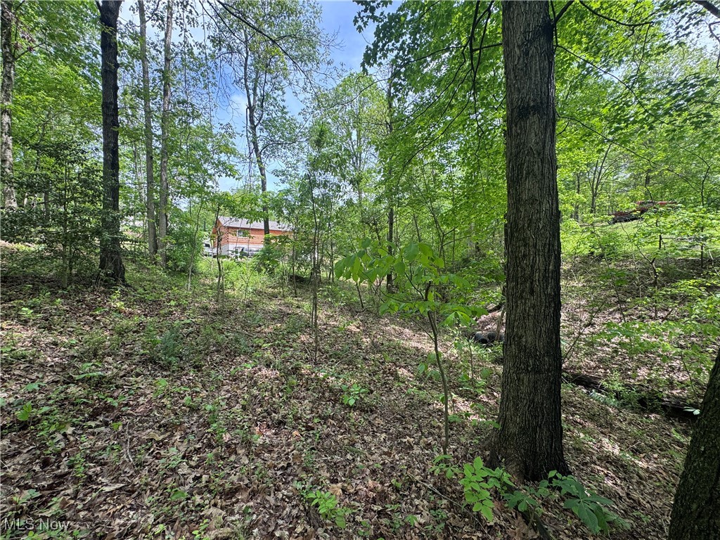 316 Ridgewood Boulevard, Belpre, Ohio image 43