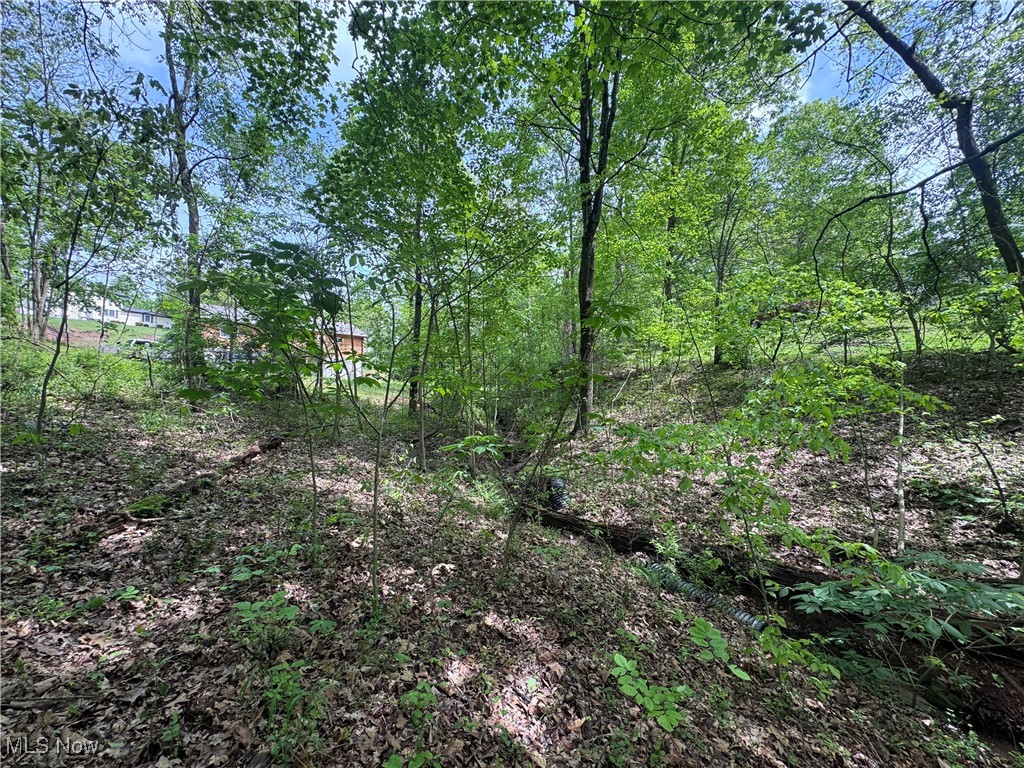 316 Ridgewood Boulevard, Belpre, Ohio image 5