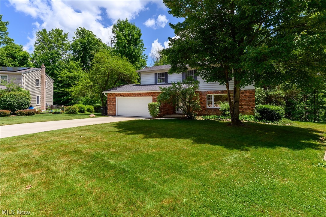 Forest Park - Residential