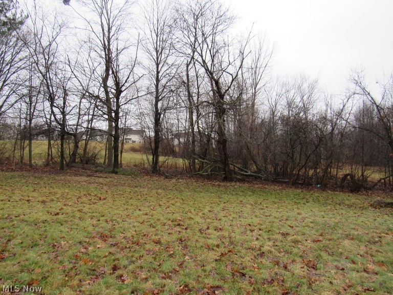 Meadowood 01 Ph 04 - Residential