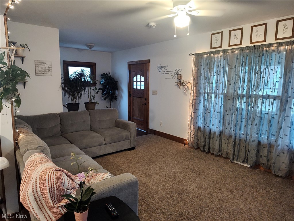 Chestnut Heights Allotment - Residential