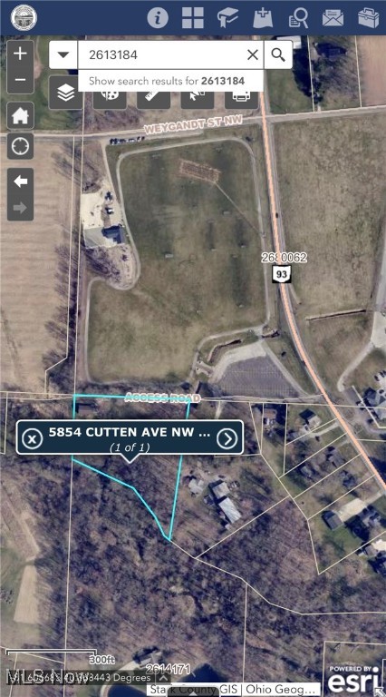 Main image without alt text