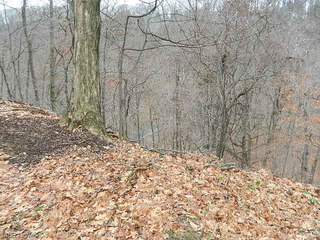 Euclid 13 - Residential