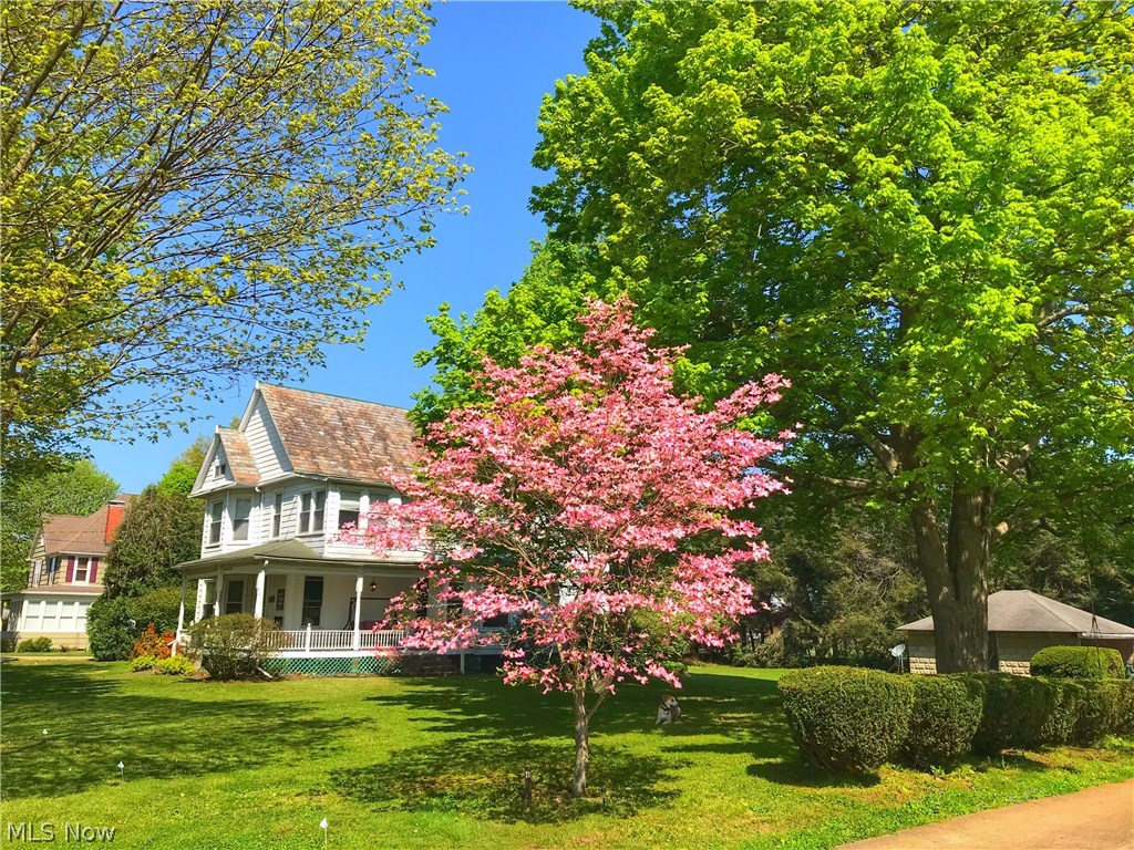 Wisemans Bottom Allotment - Residential