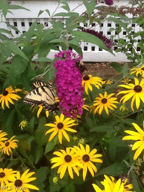 Elbur Heights - Residential