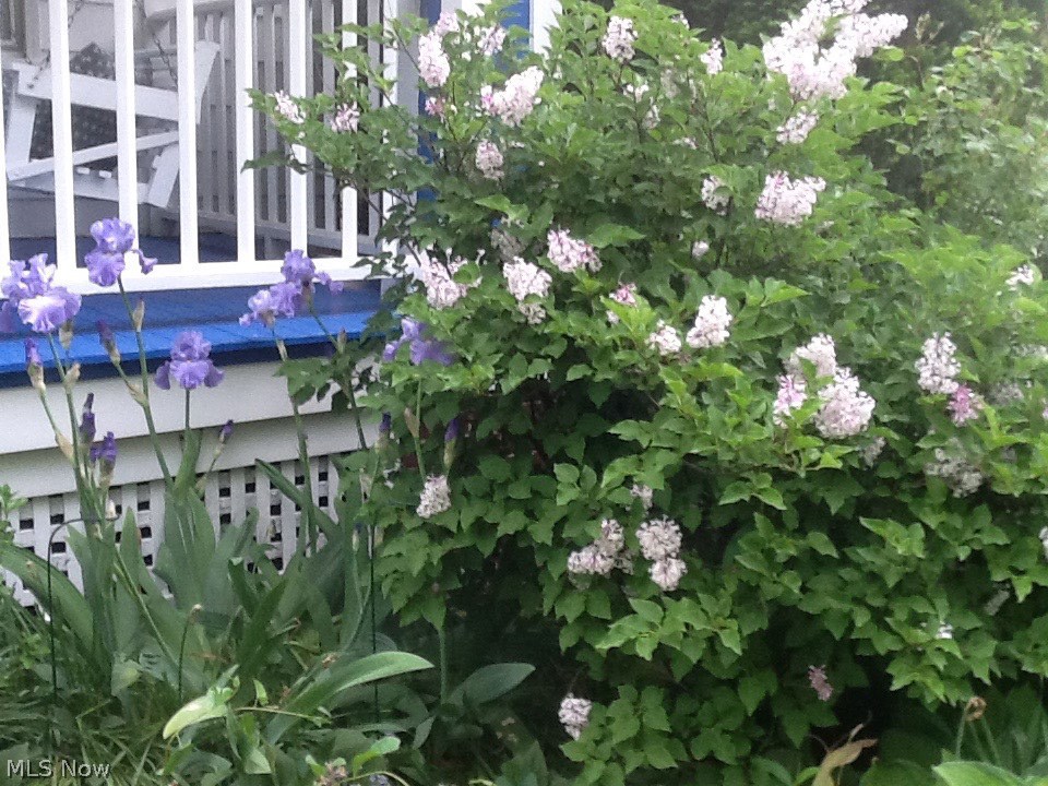 Elbur Heights - Residential