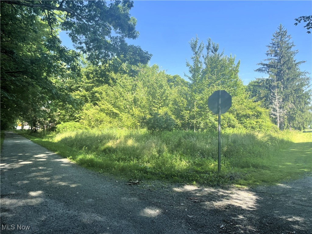 Build Your Dream Home! Whether you're planning your forever home or an investment property, this parcel offers endless potential. Conveniently located near Pymatuning State Park and Pymatuning Reservoir. Bring your vision and make it yours!