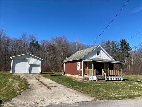 Homes For Sale - 195 Case Avenue<br/> Ashtabula County, Andover, OH 44003