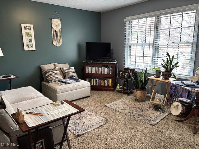 Pine Rdg Condo - Residential