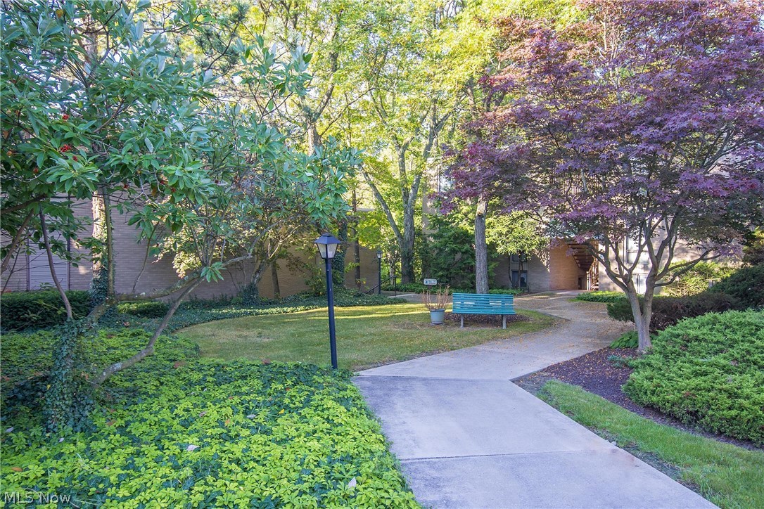 Brecksville West Condo - Residential