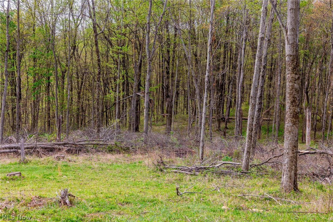 2115 Goss Fork Rd 2