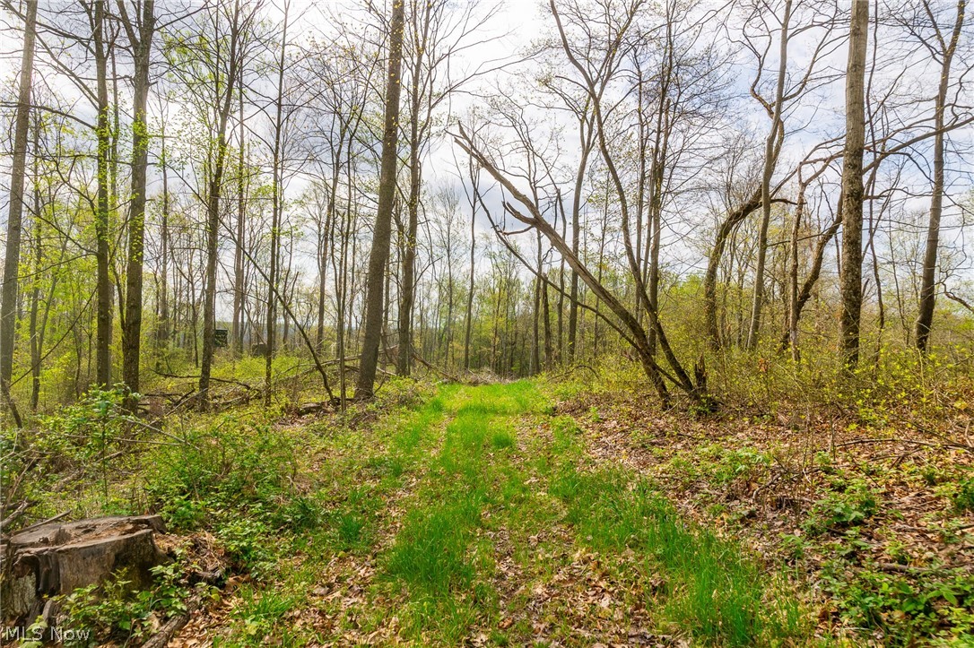 2115 Goss Fork Rd 2