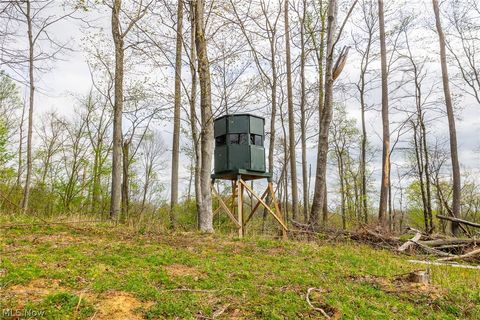 Vacant Land For Sale - 2115 Goss Fork Rd Rd #2<br/> Whipple, OH 45788