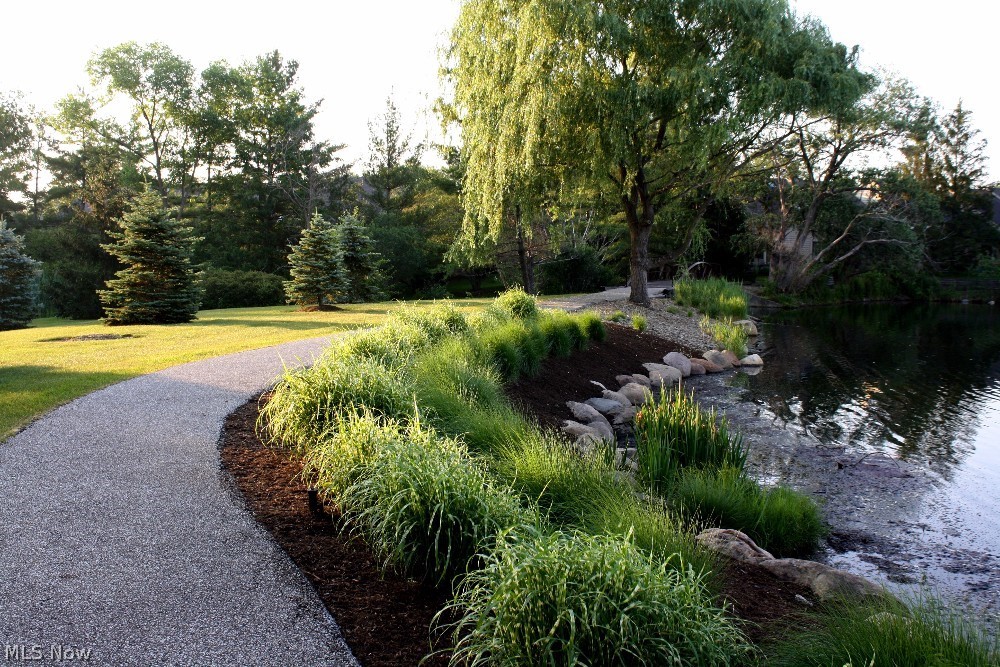 Park Dev - Residential