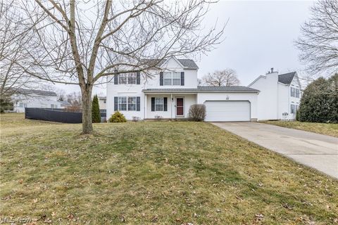 443 Plum Creek Drive Wadsworth OH 44281