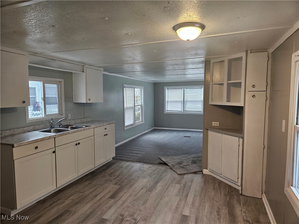 Sawyers 03 Springfield Lake - Residential