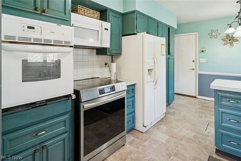 Tiny photo for 725 N Hawkins Avenue, Akron, OH 44313 (MLS # 5184737)