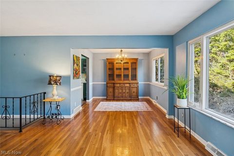 Tiny photo for 725 N Hawkins Avenue, Akron, OH 44313 (MLS # 5184737)