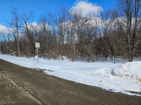 Vacant Land For Sale - Miles Road<br/> Cleveland, OH 44128