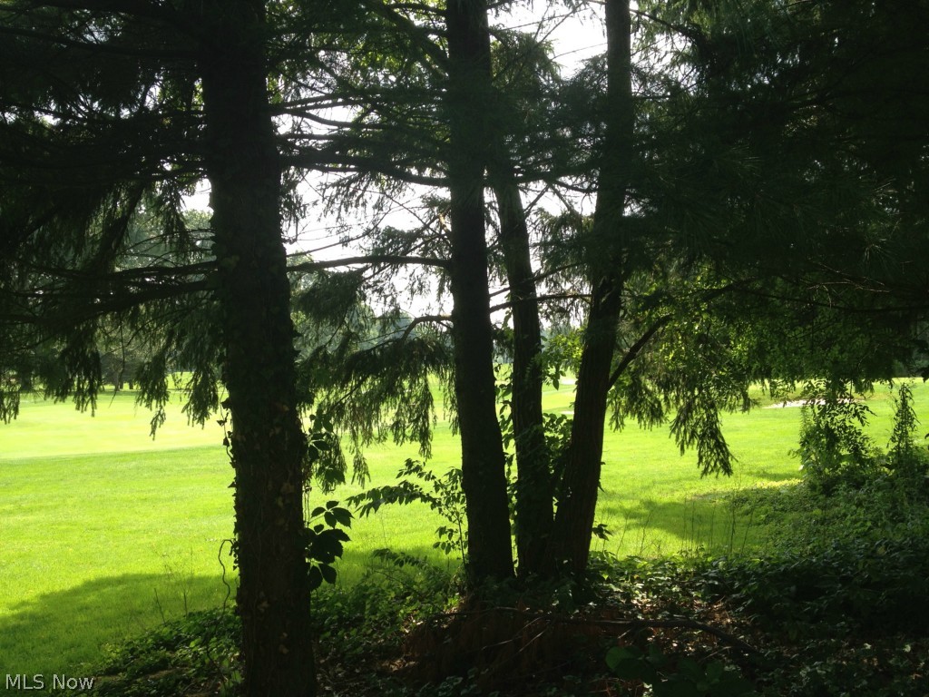 Mill Run Village - Residential