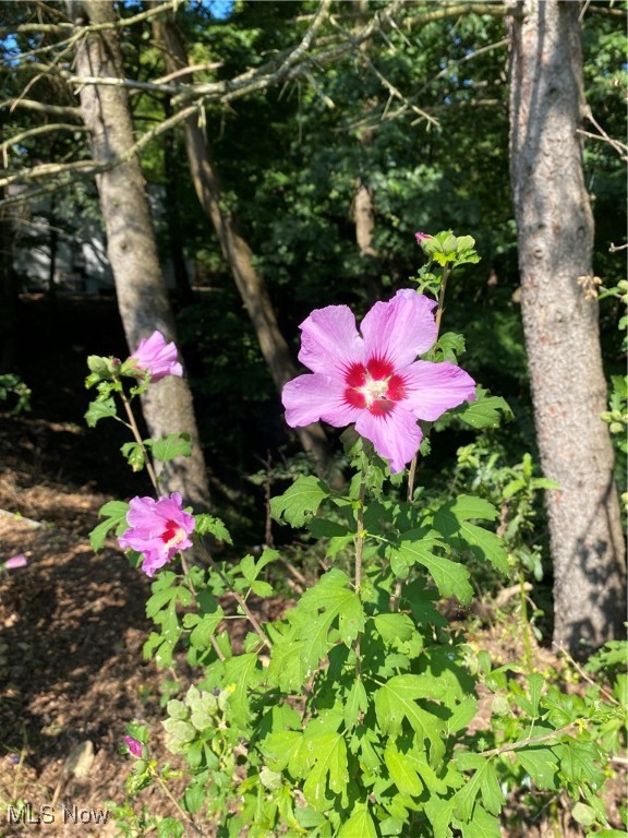 Quilliams Pkwy 03 - Residential