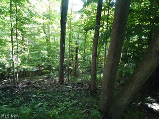 Pepper Creek Estates - Residential