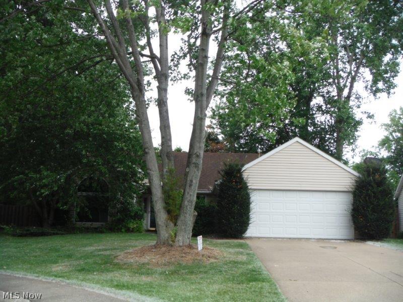 Butternut - Residential